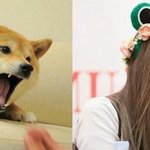 [19] 음,, 이건 귀짤<b>일까</b> 귀짤이 아닐까