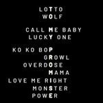 [EXO] 이거보구가....쀼른뽐님전씌해