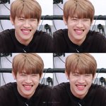 [박우진] <b>참새</b>팬들아