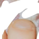 [약혐] 나 <b>발가락</b> 조카 길지않냐