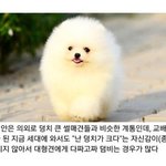 [댓글부탁해] 판 화력 개오졌던 <b>일들</b> 뭐뭐 있지?