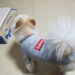 [EXO] 아는언니 <b>딸래미</b> ㅠ ㅠ