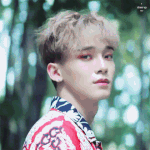 [EXO] 금종대<b>vs</b>흑종대