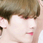 [EXO] 모찌 백현<b>vs</b>천재아이돌 백현