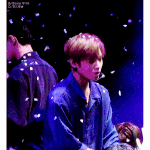 [댓글부탁해] 박지훈 이거 <b>개설렘</b> 언제임?