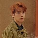 [백현] [스캔본] 유니버스 <b>SD</b> CARD &amp; 고급인화사진 백현