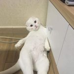 <b>곱슬머리</b> 얘들아 ㅠㅠ