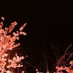 반배정헷<b>꿀꿀</b>
