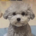 [드루와] 나 <b>안아</b>줄 사람 구한다