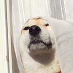 본인 기준 띵곡 추천해줘