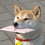 판에 어그로끄는 애들 좀 불쌍하지않냐