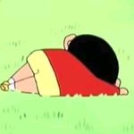 [19] 노브라