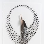 수술용 가위로 만든 <b>섬세</b>한 깃털 공예