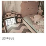 더샘 블러셔