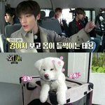 [NCT] 태용이랑 놀던 강아지 <b>근황</b>ㅋㅋㅋㅌㅋ