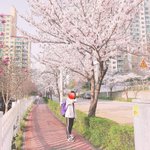 [사진ㅇ] <b>계절</b>별로 사진 찍어봐
