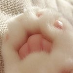 [드루와] <b>계란말</b>이 먹고싶다