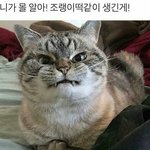 [댓글부탁해] 난 이만 <b>자러</b>갈게