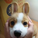 나 방금 남사친 모닝콜 해줬는데