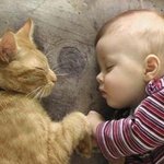 아기와 고양이 괜찮을까요?