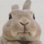 <b>로션</b>같은 썬크림 있니..?
