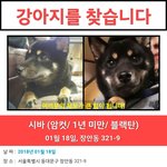 [꼭봐주세요] 동대문구장안동/도와주세요..