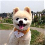 [급행급행] 카메라어플 추천죰