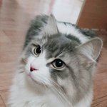세상의 모든 <b>여혐</b>, 남혐이 사라지게 해주세요 제발...