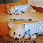[댓글부탁해] 예비 고2 <b>문이</b>과 선택 도와주세요ㅠㅠ