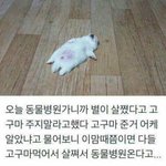 [드루와] 남친이랑 겜하다 냉전됨 대위기야 다모여봐