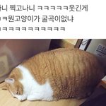 [댓글부탁해] 친구 생일선물로 <b>입욕제</b> 추반