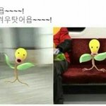 [댓글부탁해] <b>탐폰</b>쓰는 애들 들어와봥