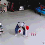 [방탄소년단] 머글인데...요즘 지민님이 좋아<b>지구</b>있어ㅠㅠ