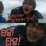 [댓글부탁해] 지금 투쿨포스쿨 <b>쉐딩</b> 세일이잖아