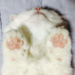 밝은 <b>레드립</b> 추천하고 가!!!