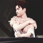 [EXO] 어제뽑은 타조털로 <b>특수</b>제작한 됴레스디오