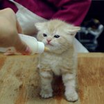 내 <b>수발</b>들어줘