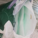 [19] 얘들아 <b>위</b>스퍼생리대에서 구더기 나왔어;;