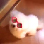 [EXO] ㅠㅠㅠㅠㅠㅠ 진심 조카 귀여움 ㅠㅠㅠ