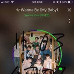[워너원] 와 얘들아 대박이야