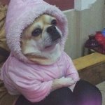 [조언부탁해] <b>옷</b> 한꺼번에 <b>사고</b>싶은데