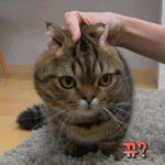 [댓글부탁해] 얘들아 잔잔한 <b>팝송</b>추천해주라!!