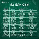 애덜앙 <b>구제</b>쇼핑몰 추천좀