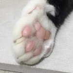 [댓글부탁해] <b>모노</b>아이즈 인생섀도우 추천해주라