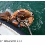 내일 예비고1들 예비소집<b>일임</b>?
