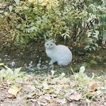 [드루와] 우리 <b>특성</b>화고등학교 꿀팁도 하자