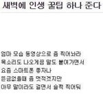 내 인생 조카 <b>꼬임</b>