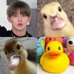 [댓글부탁해] 음악영화 좋아하는 애들 있닝