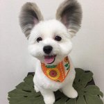 [ㅋㅋㅋㅋㅋ] 모모랜드 뿜뿜 춤 있자나