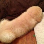 빛삭